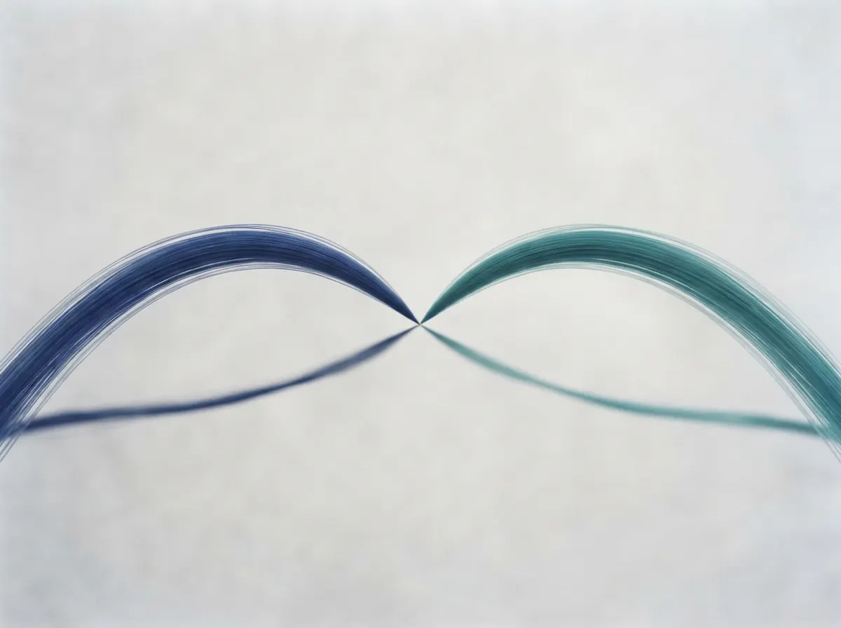Abstract illustration of two curved lines, navy and teal, meeting at a single point